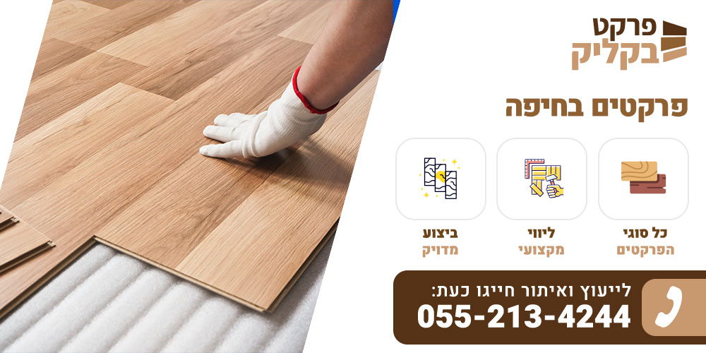 פרקטים בחיפה