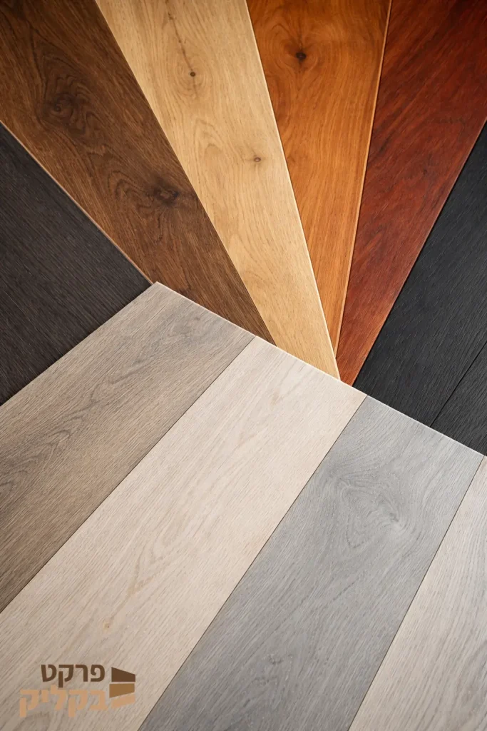 פרקטים בצבעים