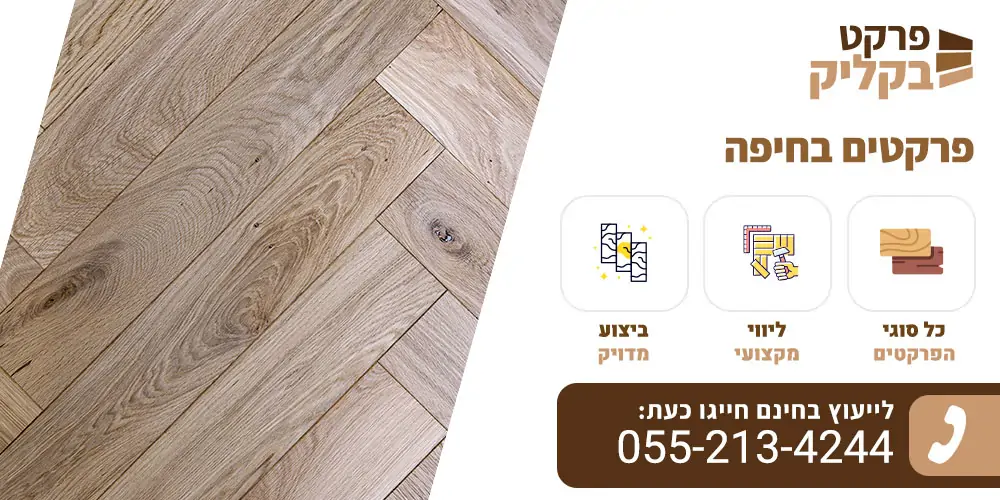 פרקטים בחיפה