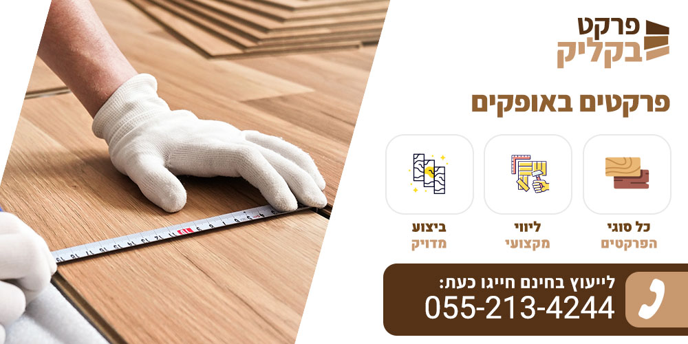 פרקטים באופקים