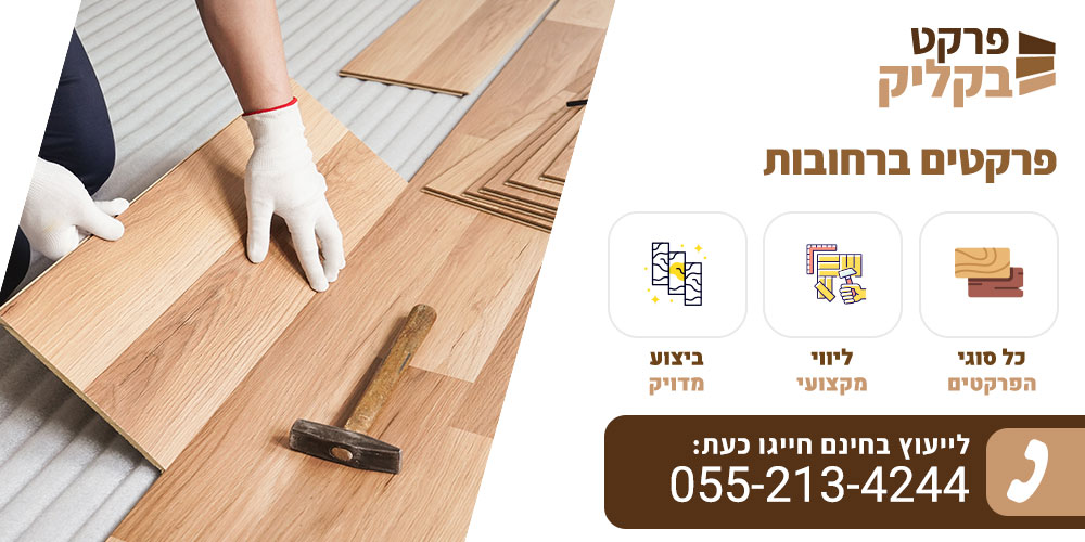 פרקטים ברחובות